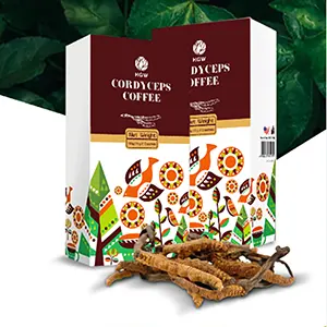 Cordyceps Coffee